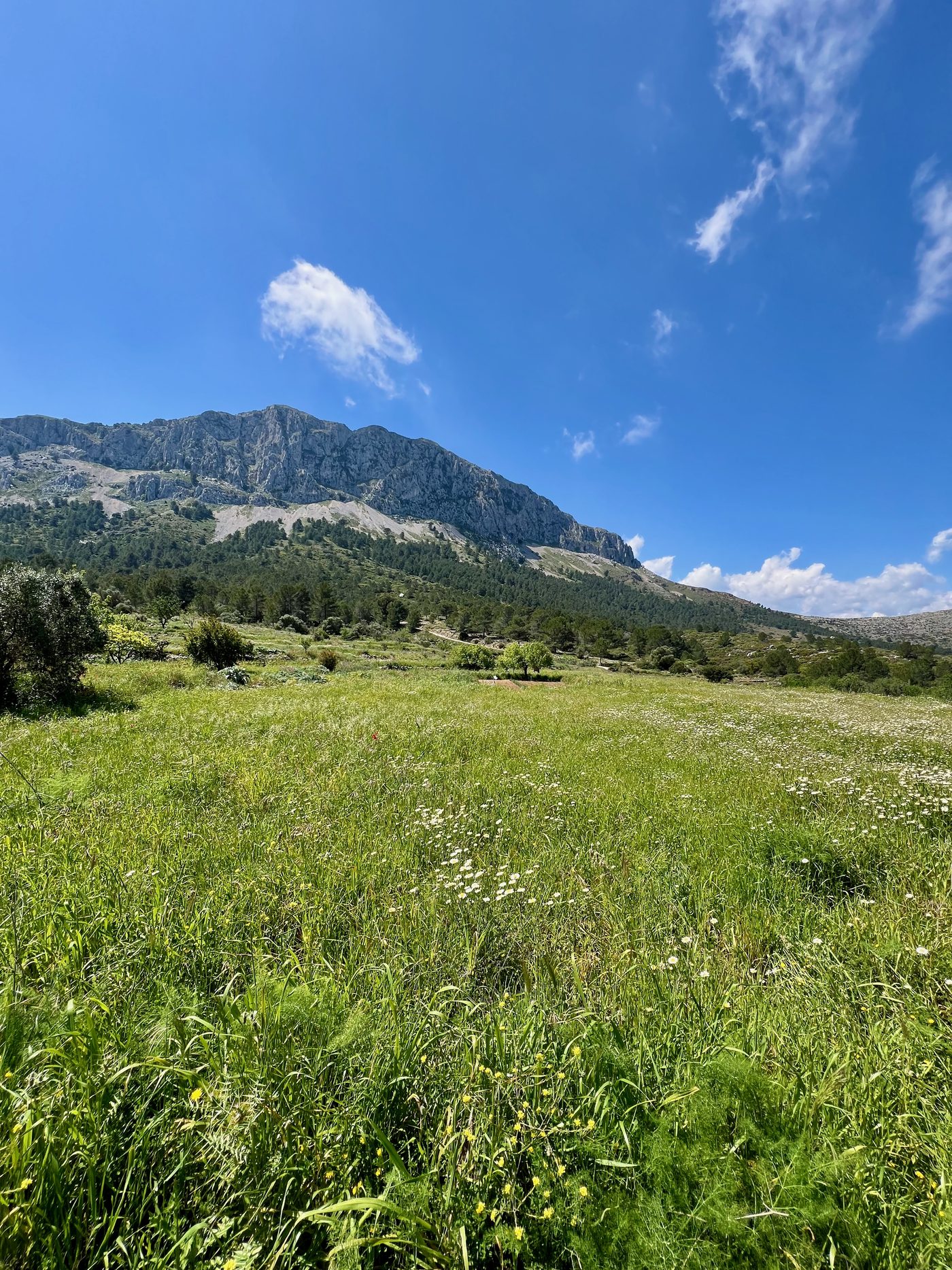 Aerial view of a secluded cala (bay) with crystal clear turquoise water